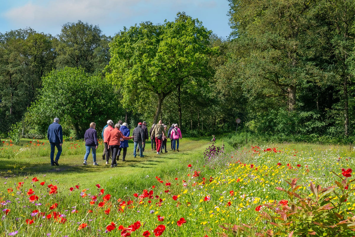 Beilen Gezond Natuur Wandelen