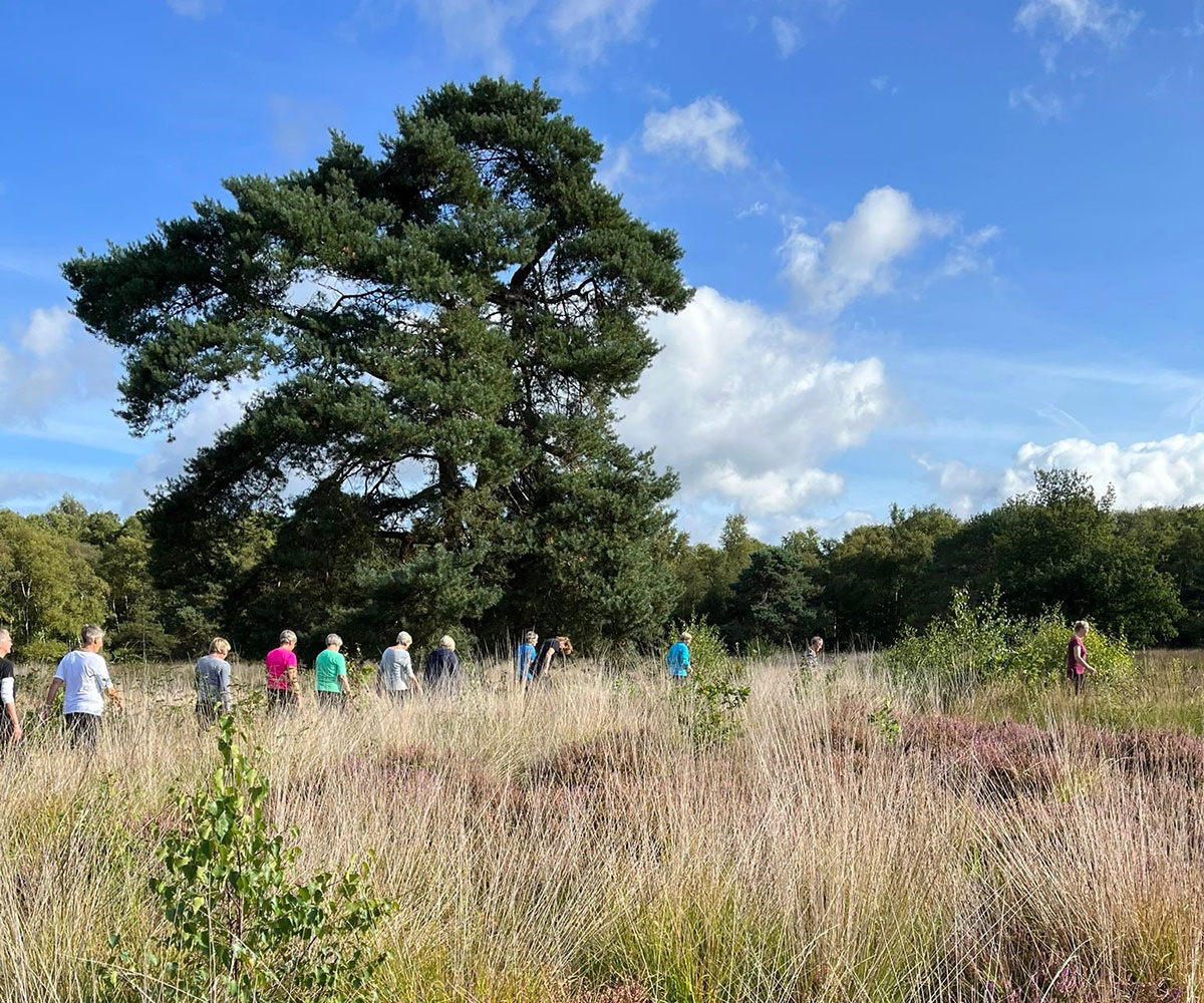 Smilde Gezond Natuur Wandelen