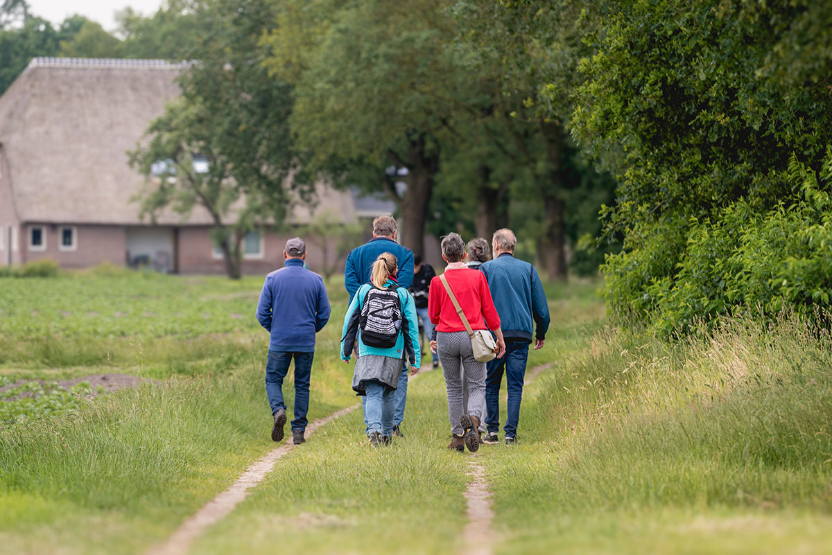 Westerbork Gezond Natuur Wandelen
